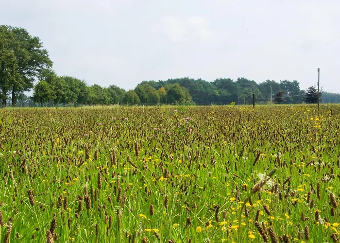 Pipowagen 2 Persoons Lindershoeve 캠프장