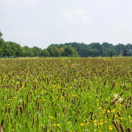 Pipowagen 2 Persoons Lindershoeve Campsite